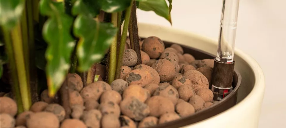 GartenBaumschule & Landschaftsbau Kreiser