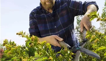 Gardena Heckenschere NatureCut