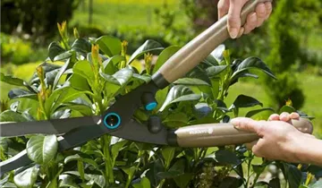 Gardena Heckenschere NatureCut
