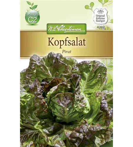 Kopfsalatsamen 'Pirat'