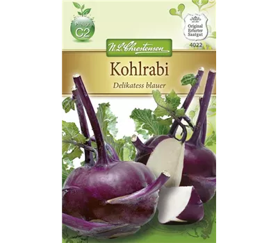 Kohlrabisamen 'Blauer Delikatess'