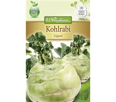 Kohlrabisamen 'Gigant'