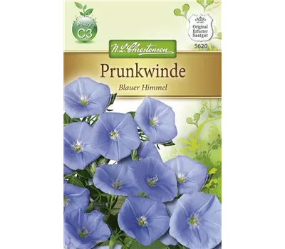 Prunkwindensamen 'Blauer Himmel'