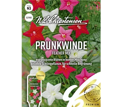 Prunkwindensamen 'Feather Mix'