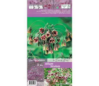 Bulgarischer Honiglauch