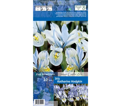 Zwerg-Iris 'Katherine Hodgkin'
