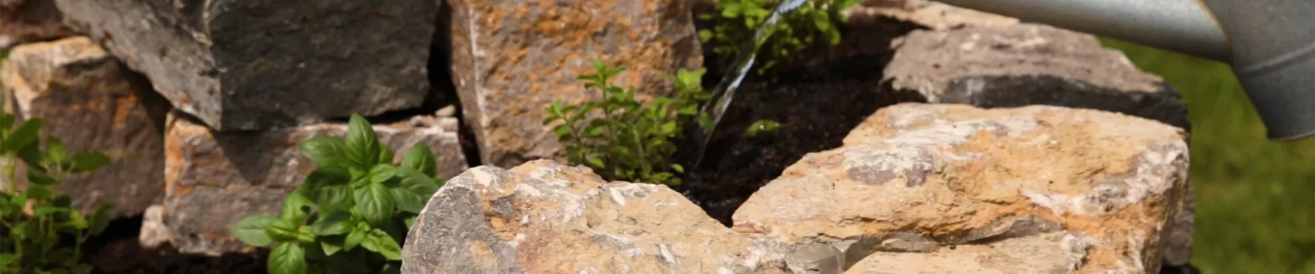 Kräuterspirale selbst bauen und bepflanzen - Pflanzen gießen