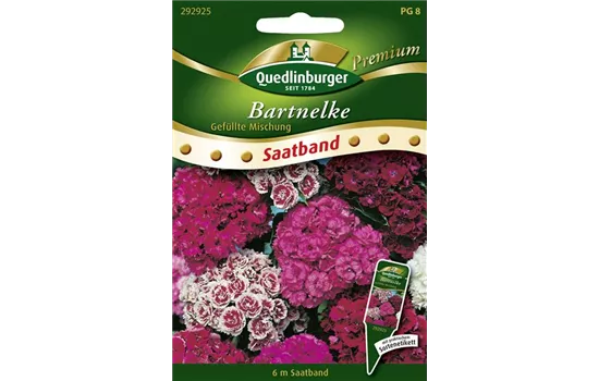 Bartnelkensamen