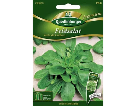 Feldsalatsamen 'Verte de Cambrai'