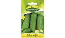 Cucumis sativus 'Bidretta F1'