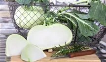 Brassica oleracea var. gongylodes 'Superschmelz'