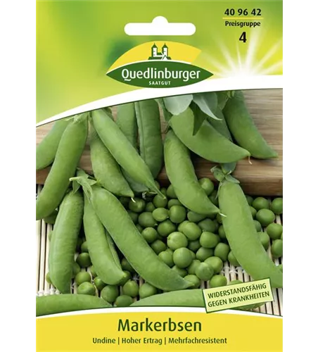 Markerbsensamen 'Undine'