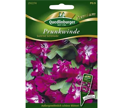 Prunkwindensamen 'Sunrise Serenade'