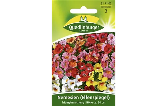 Elfenspiegelsamen 'Triumphmischung'