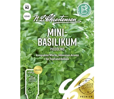 Basilikumsamen 'Piccolino'
