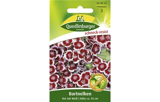 Bartnelkensamen