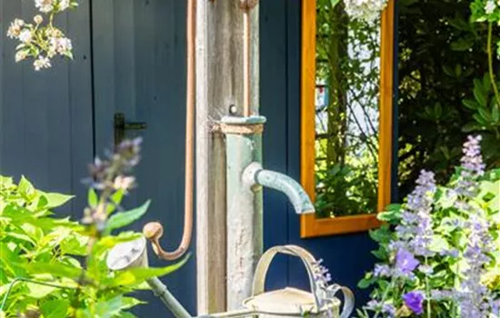 So einfach kann die Gartengestaltung mit Gartenpflanzen sein