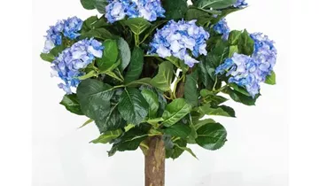 fleur ami HORTENSIE Kunstpflanze