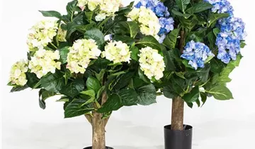 fleur ami HORTENSIE Kunstpflanze