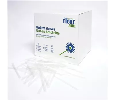 fleur ami GERBERA Abschnitte