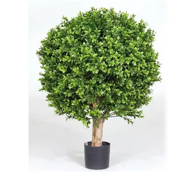 fleur ami BUCHSKUGEL Kunstpflanze