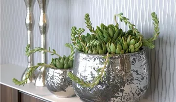 fleur ami LUXURY Tischgefäß