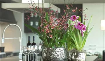 fleur ami LUXURY Tischgefäß