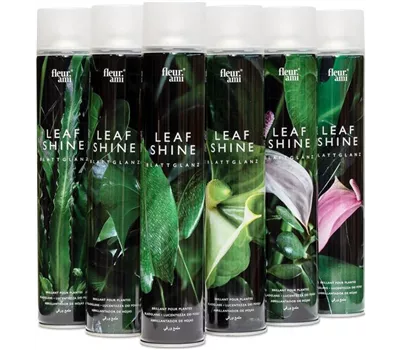 fleur ami Fleur ami Blattglanz