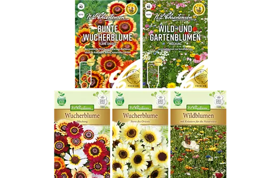 Saatgut Set 'Wild und Wucher' 
