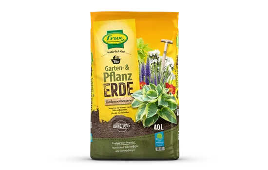 knstliche palme 150 cm Knstliche Palme 150cm  Tannendiele BlumenGut Dsseldorf