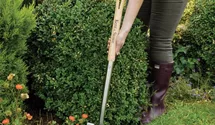 Für Rabatten und Beete