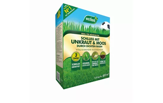 Westland Schluss mit Unkraut und Moos