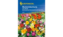 Sommerblumen 'Last Minute'
