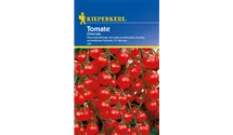 Solanum lycopersicum 'Cherrola F1'