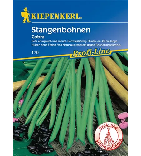 Stangenbohne 'Cobra'