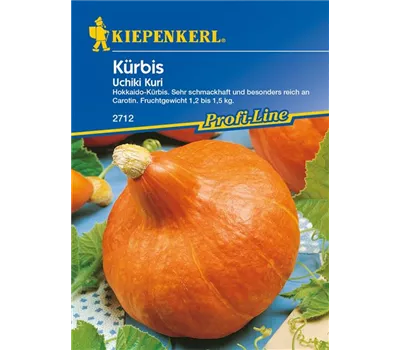 Kürbis 'Uchiki Kuri'