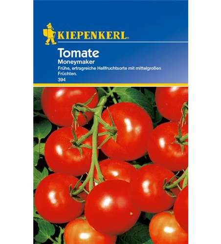 Tomate 'Moneymaker'