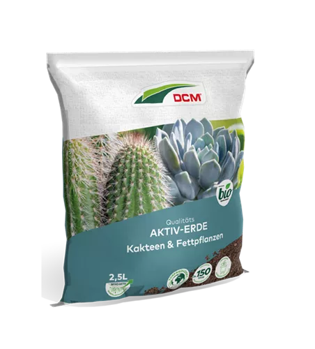 Cuxin Aktiv-Erde Kakteen & Fettpflanzen