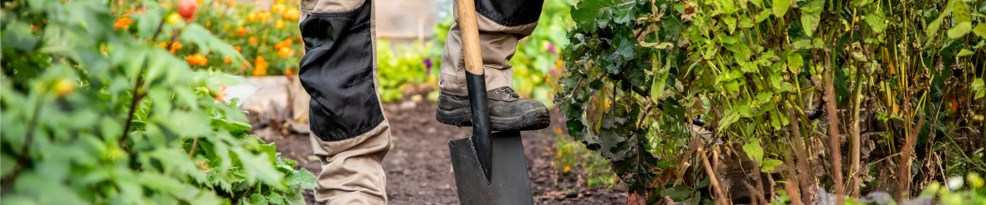 Gartengeräte - Spaten