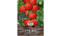 Solanum lycopersicum 'Corazon F1'