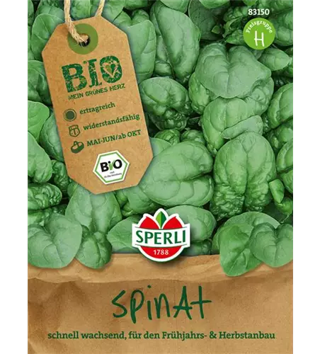 Echter Spinat