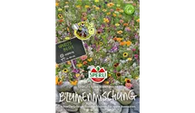 Sommerblumen 'Späte Blütenpracht'