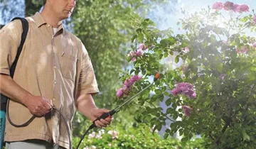 Gardena Drucksprüher mit Schultertragegurt Comfort 5 L 
