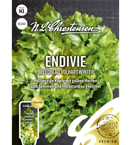 Endiviensamen 'Breedblad Volhart Winter'