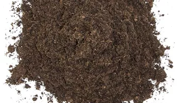 100% Düngerfreie Spezialeinstreu für Landschildkröten und andere Reptilien